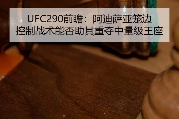 qian-zhan-a-di-sa-ya-long-bian-kong-zhi-zhan-shu-neng-fou-zhu-qi-zhong-duo-zhong-liang-ji-wang-zuo-3-871.jpg